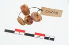 Foto von Bernsteinperlenkette (NHMW-PRAE-025384)